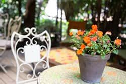 חדר ישיבות קטן - מרפסת