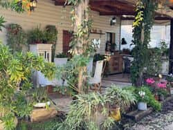 הכניסה לבית העץ